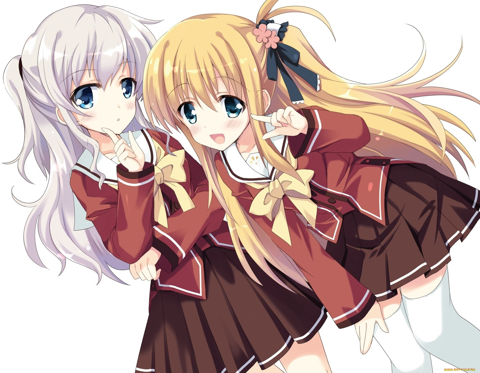 , charlotte, , , 